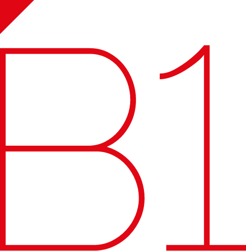 B1